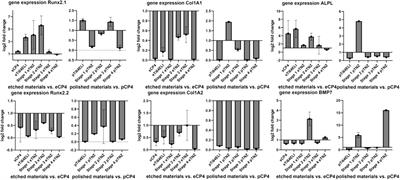 Nanostructured Ti-13Nb-13Zr alloy for implant application—material scientific, technological, and biological aspects